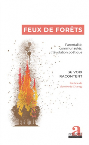 Feux de forêt